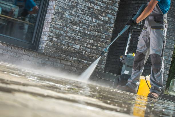 Best Fleet Vehicle Washing  in Pine Island Center, FL