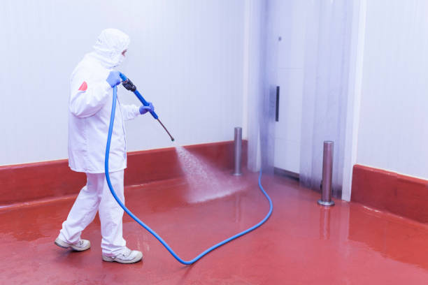 Best Playground Equipment Cleaning  in Pine Island Center, FL