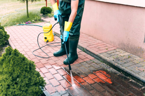 Animal Enclosure Cleaning in Pine Island Center, FL