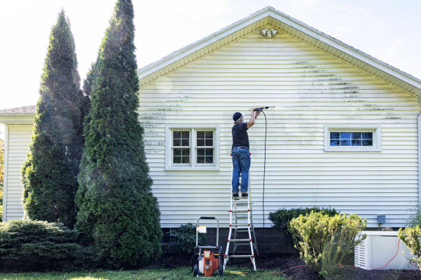 Best Roof Washing  in Pine Island Center, FL